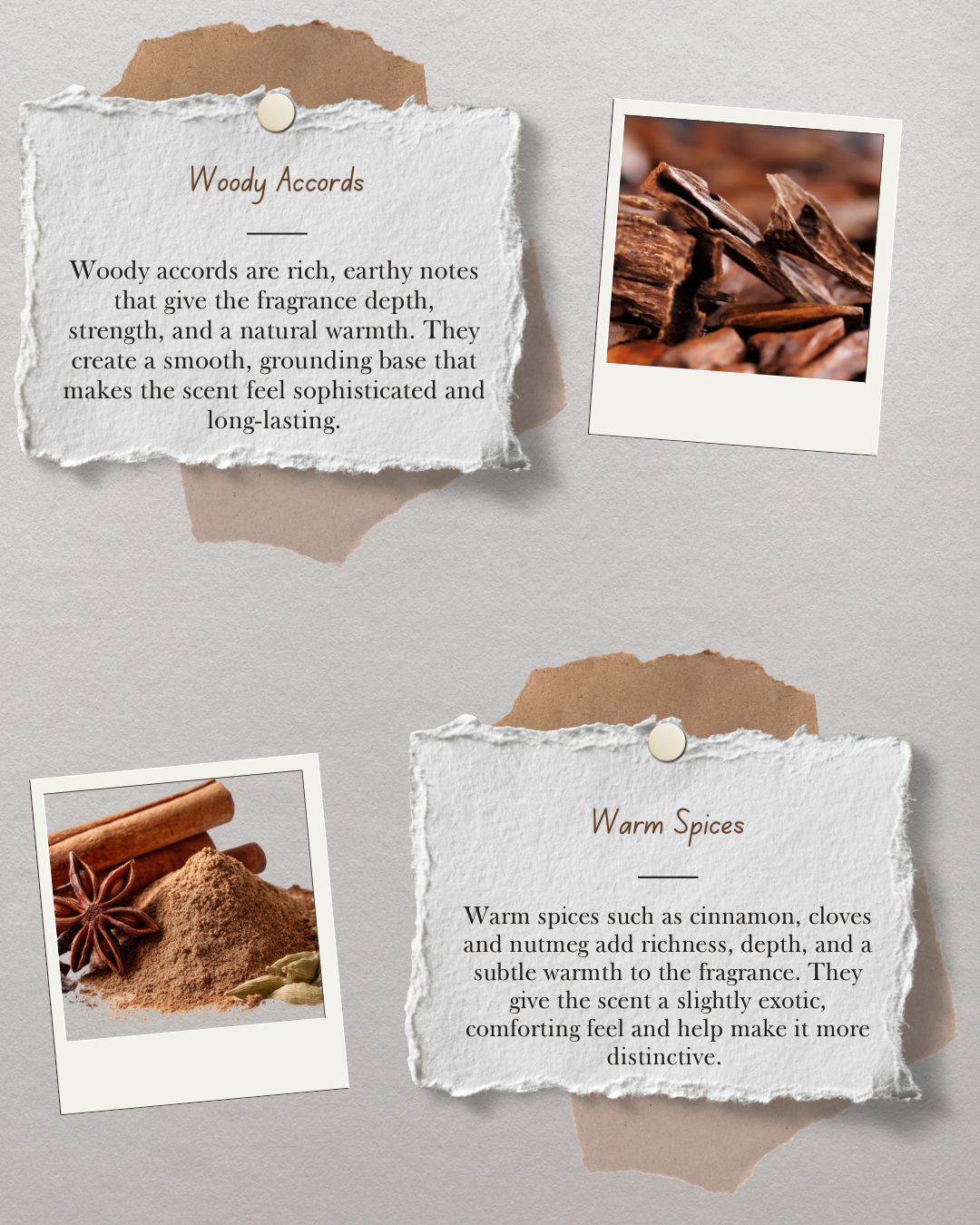 Oud As Shams - Rooted in Tradition
